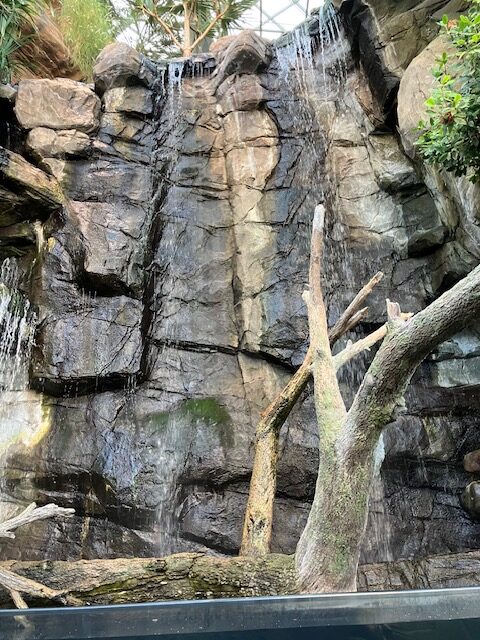 National Aquarium(ナショナル水族館)