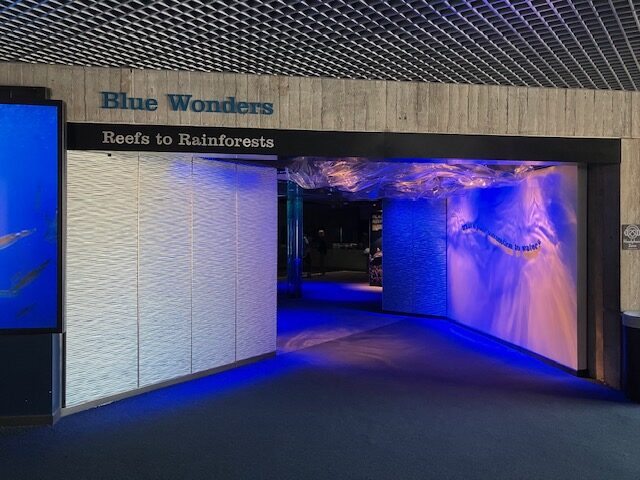 National Aquarium(ナショナル水族館)