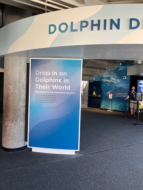 National Aquarium(ナショナル水族館)