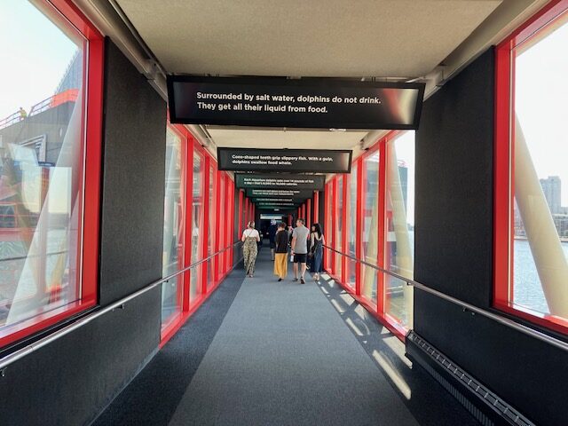 National Aquarium(ナショナル水族館)