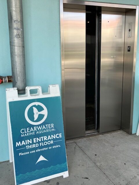 クリアウォーター・マリーン水族館(Clearwater Marine Aquarium)