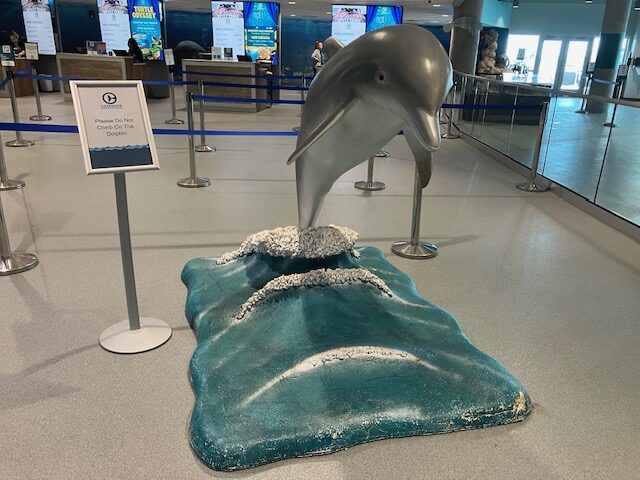 クリアウォーター・マリーン水族館(Clearwater Marine Aquarium)