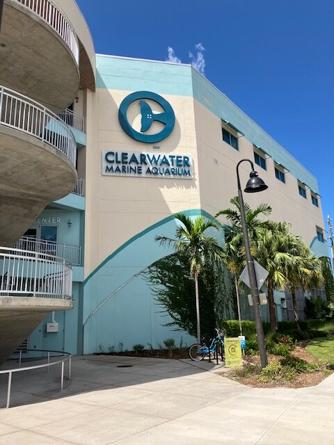 クリアウォーター・マリーン水族館