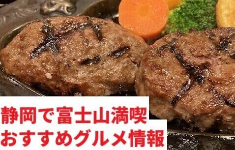 さわやかハンバーグ